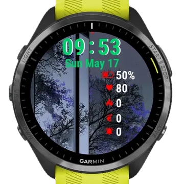 Window Tree Middle Garmin watch face preview