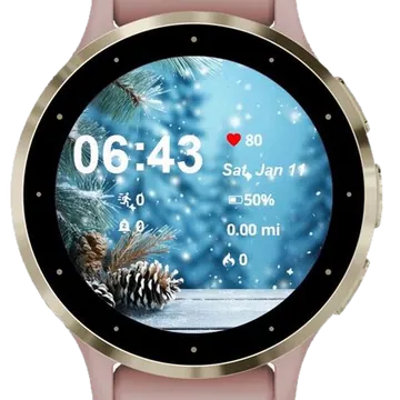 Winter Backdrop Garmin watch face preview
