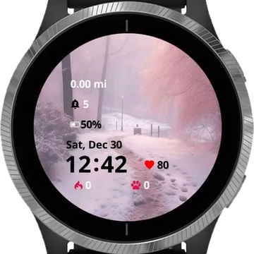 Winter Background Garmin watch face preview