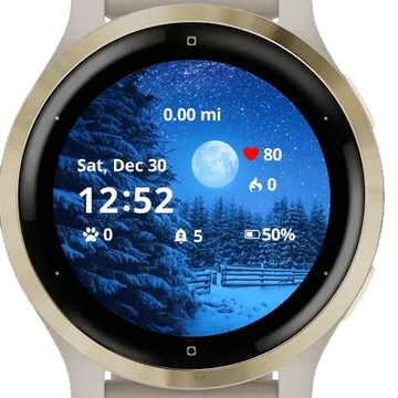 Winter Blue Garmin watch face preview