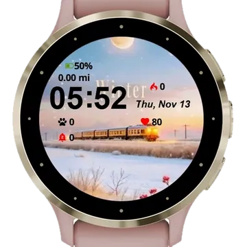 Winter Daily Garmin watch face preview