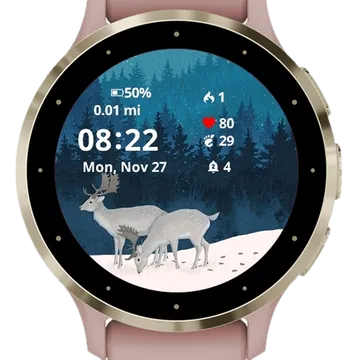 Winter Forest Art Garmin watch face preview