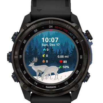 Winter forest Art Garmin watch face preview