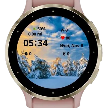 Winter Forest Garmin watch face preview