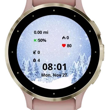 Winter Frame Garmin watch face preview