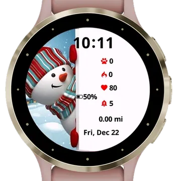 Winter Frame Garmin watch face preview