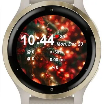 Winter Globes Garmin watch face preview