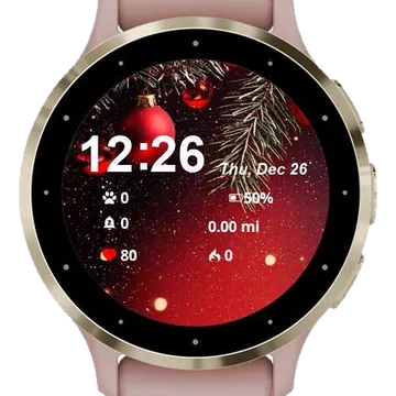 Winter Globes Garmin watch face preview