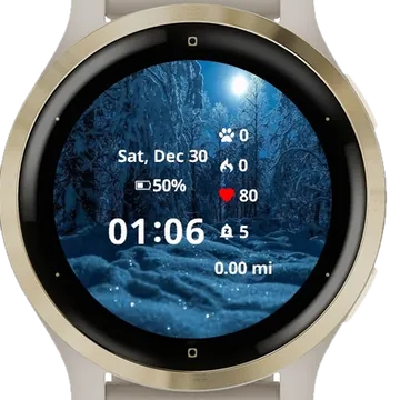 Winter Moon Garmin watch face preview