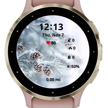 Winter Nature Garmin watch face preview