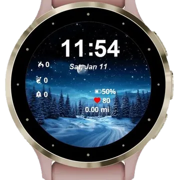Winter Night Sky Snowy Trees Garmin watch face preview