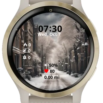 Winter on the street Garmin watch face preview