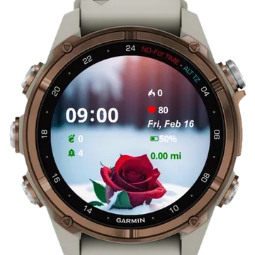 Winter Red Roses Garmin watch face preview