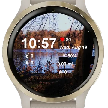 Wooden Bench Sitting Next Tree Garmin watch face preview
