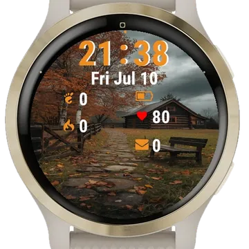 Wooden Bench Garmin watch face preview
