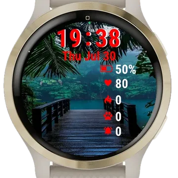 Wooden Bridge Over Body Garmin watch face preview