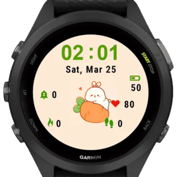 Worthy Bunny Garmin watch face preview