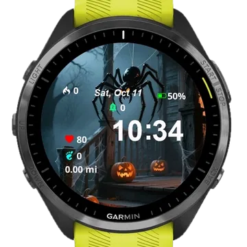 Wrap Porch Garmin watch face preview