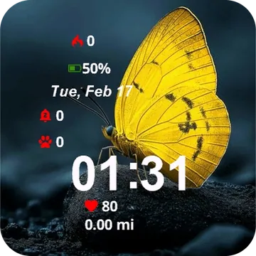 Yellow Butterfly Sitting Rock Garmin watch face preview