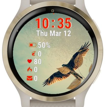 Bird Flying Sky