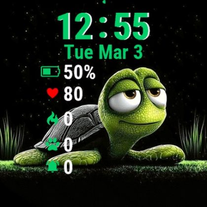 Cartoon Turtle