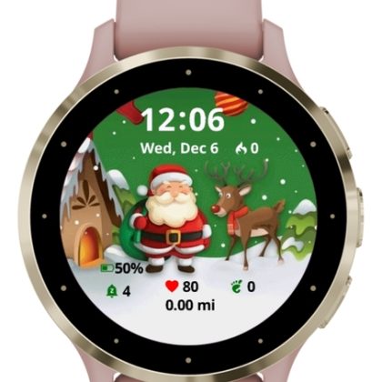 House Santa