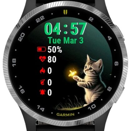 Cat Is Looking At Light Dark