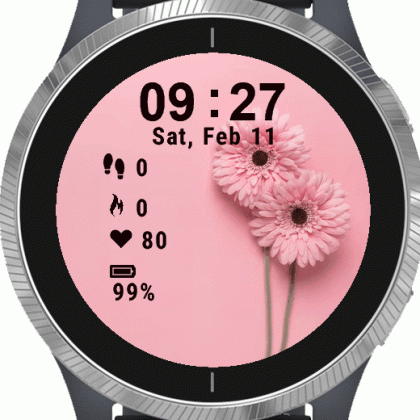 Pink Daisy Flower