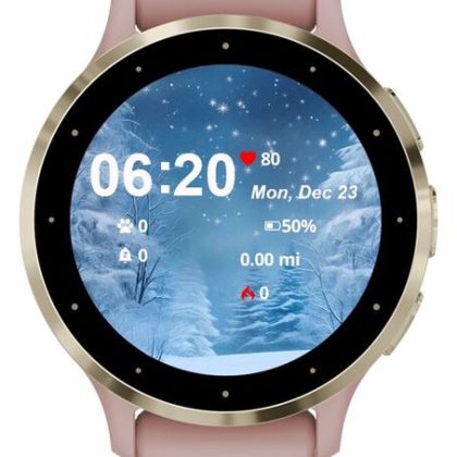 Starry Winter Night