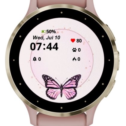 Butterfly Frame