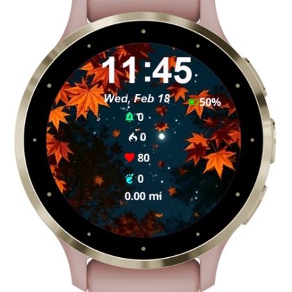 Autumn Leaves Night Sky