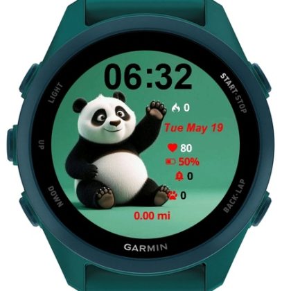 Panda Bear Green Surface