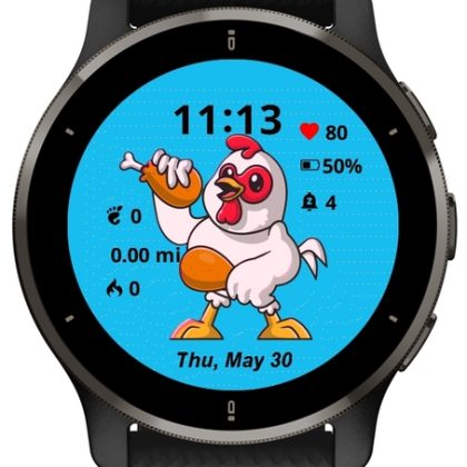 Cute rooster