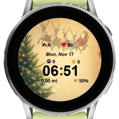 Santa and Reindeer