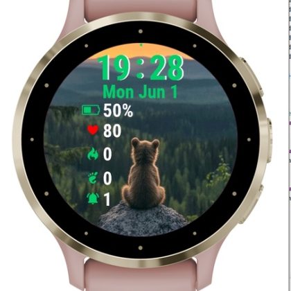 Brown Bear Sitting Top