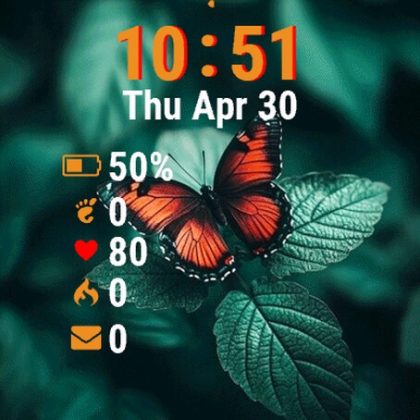 Butterfly Sitting Top Leaf