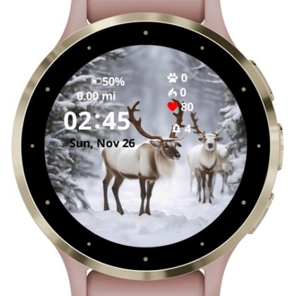 Santa Reindeer in the Winter White