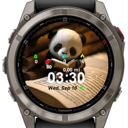 Cute Panda