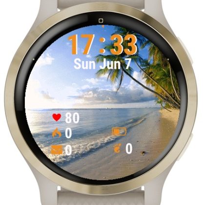 Beach Palm View