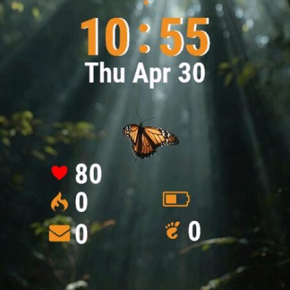 Butterfly Fly Away