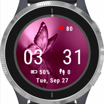Butterfly