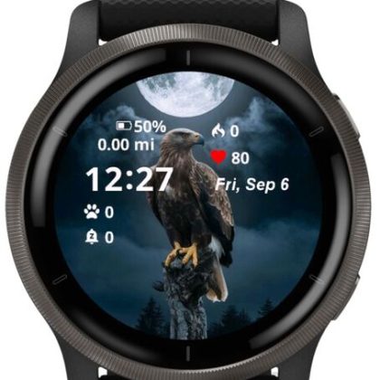 The Vulture