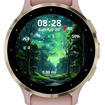 Forest Wallpaper