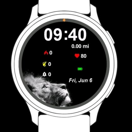 Lion Black
