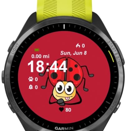 Cute Ladybug