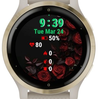 Red Roses Background
