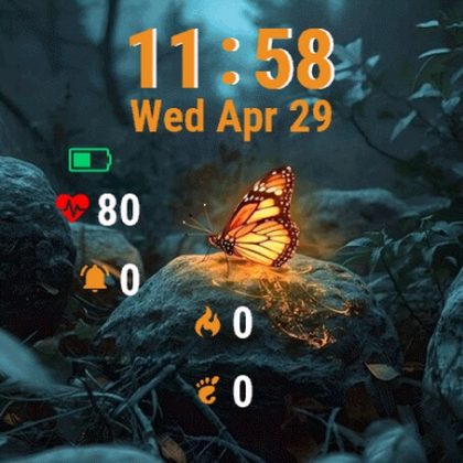 Butterfly Sitting Rock Woods