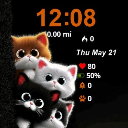 Two Cats Looking