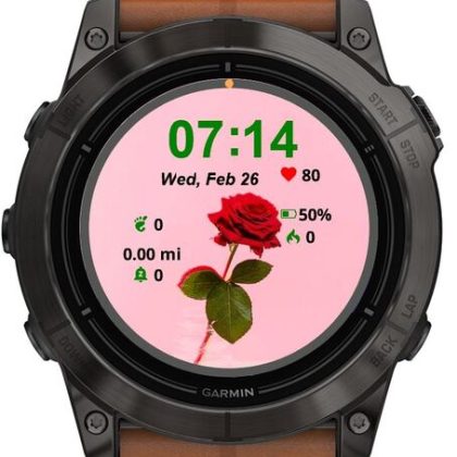 Cute Roses