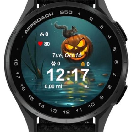 Halloween Rodeo